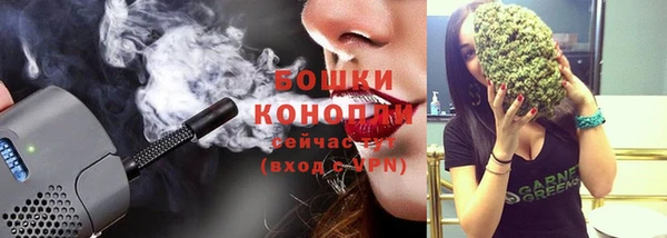 крисы Елабуга