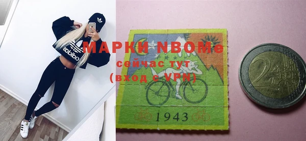 индика Елизово