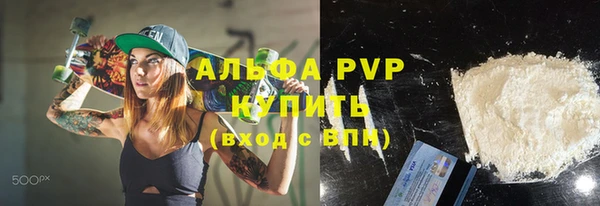 индика Елизово