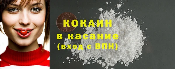 индика Елизово