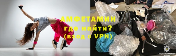 индика Елизово