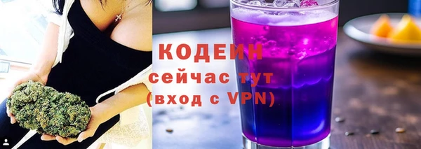 крисы Елабуга