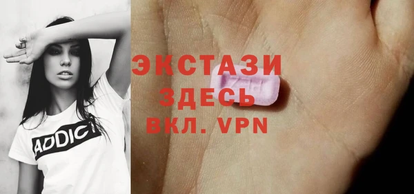 индика Елизово