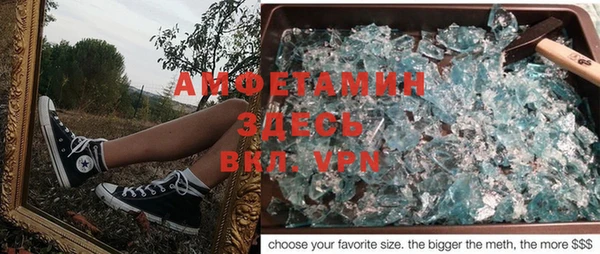 индика Елизово