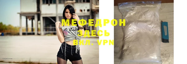 индика Елизово
