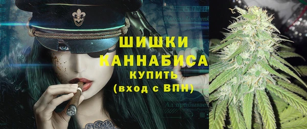 крисы Елабуга