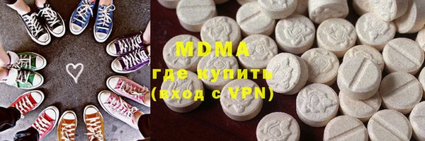 индика Елизово