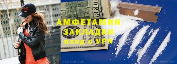 индика Елизово