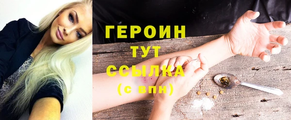 индика Елизово