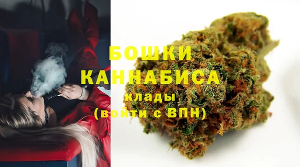 индика Елизово