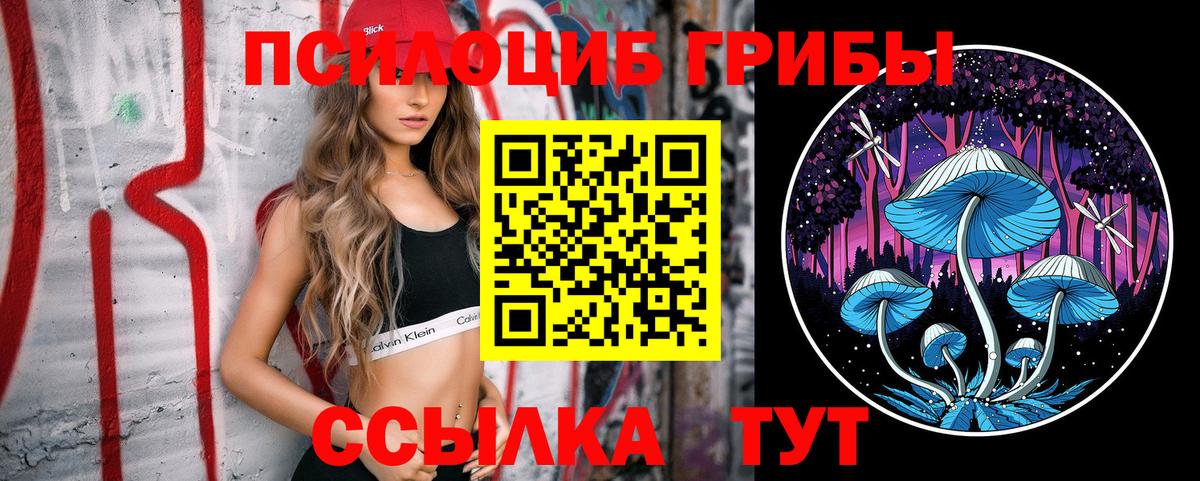 Галлюциногенные грибы прущие грибы  Галлюциногенные грибы мицелий  купить   Реж  Вход с VPN 